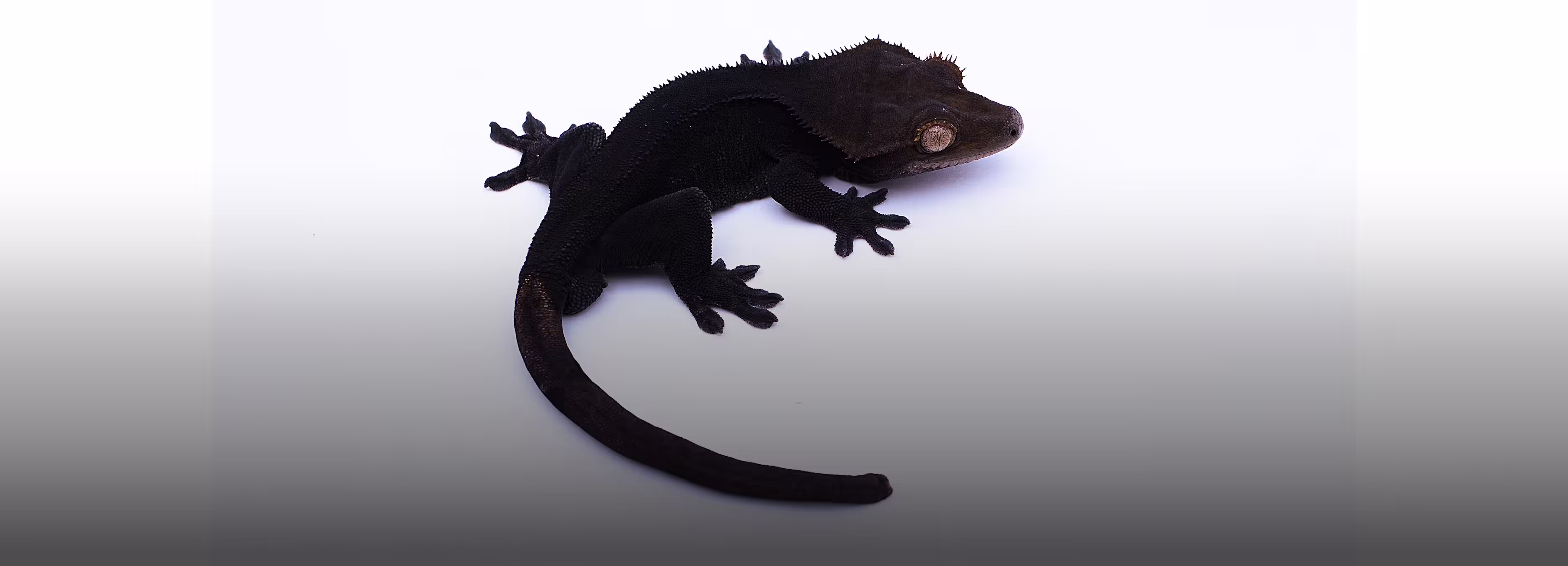 깊이 있는 색감으로 드러내다
도시감각