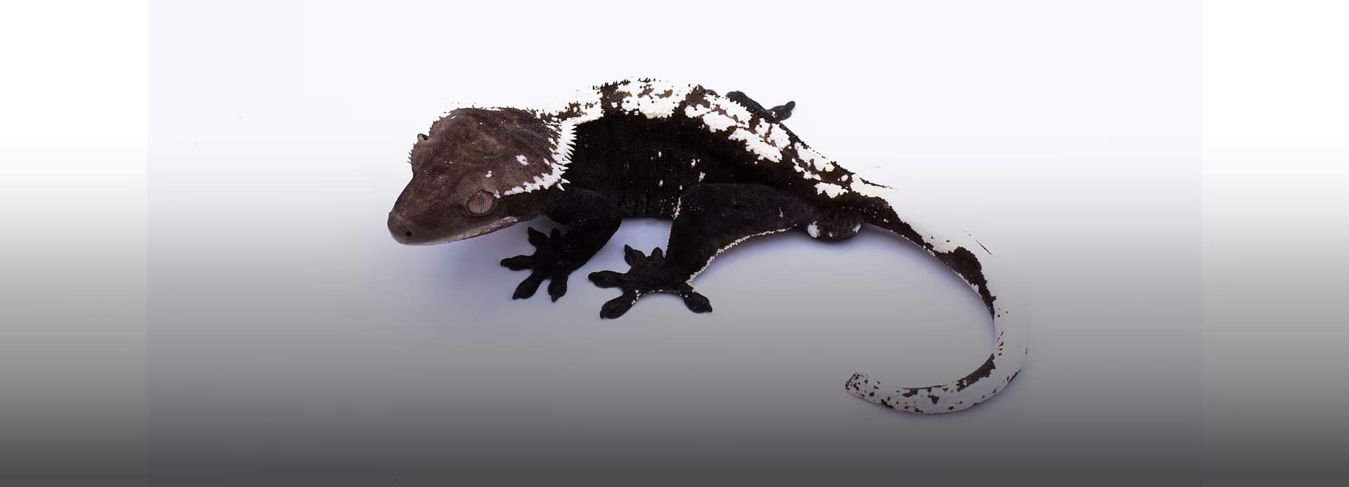 깊이 있는 색감으로 드러내다
도시감각