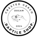 깊이 있는 색감으로 드러내다
도시감각