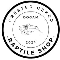 깊이 있는 색감으로 드러내다
도시감각